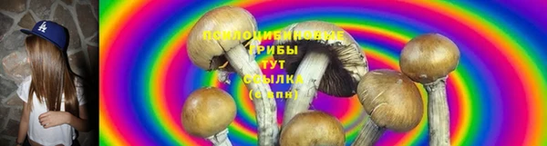 дживик Нея