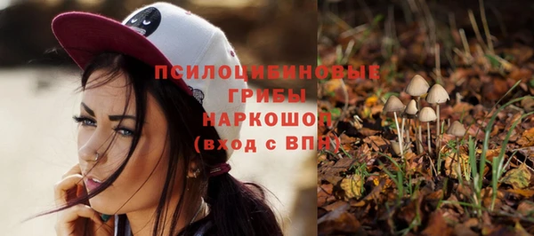 mix Надым