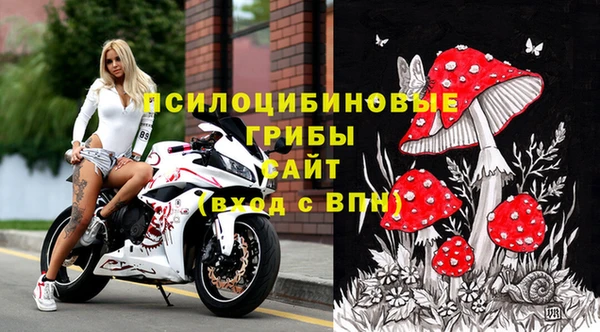 крисы Наволоки