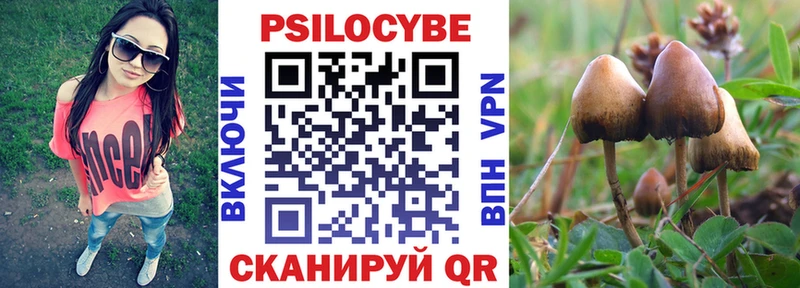 Псилоцибиновые грибы Psilocybine cubensis  наркотики  это официальный сайт  Петрозаводск 