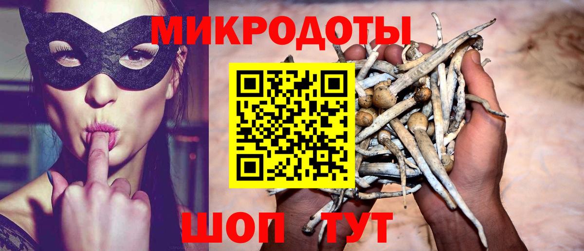 Галлюциногенные грибы мухоморы Петрозаводск